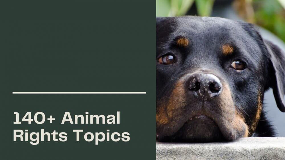 animal rights topics for research paper