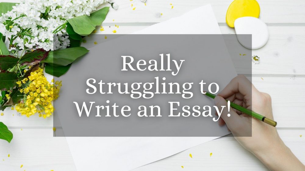 I’m Really Struggling to Write an Essay – HELP!